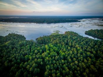 6_Carolina_Park_FULL.jpg