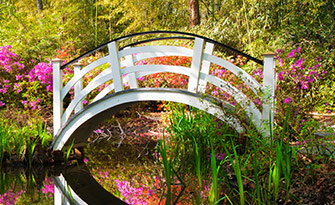 Beautiful South Carolina Carolina Park community