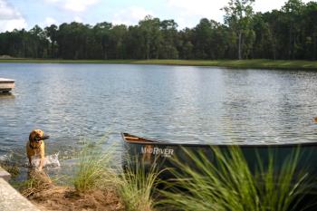 Dog_next_to_canoe_Carolina_Park_680.jpg