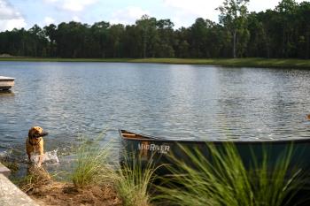 Dog_next_to_canoe_Carolina_Park_680.jpg