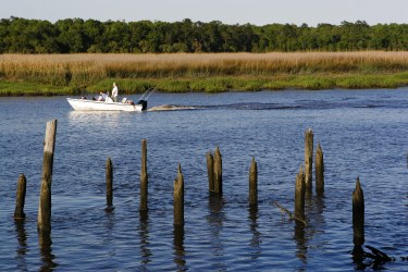 Mount Pleasant master plan | activities