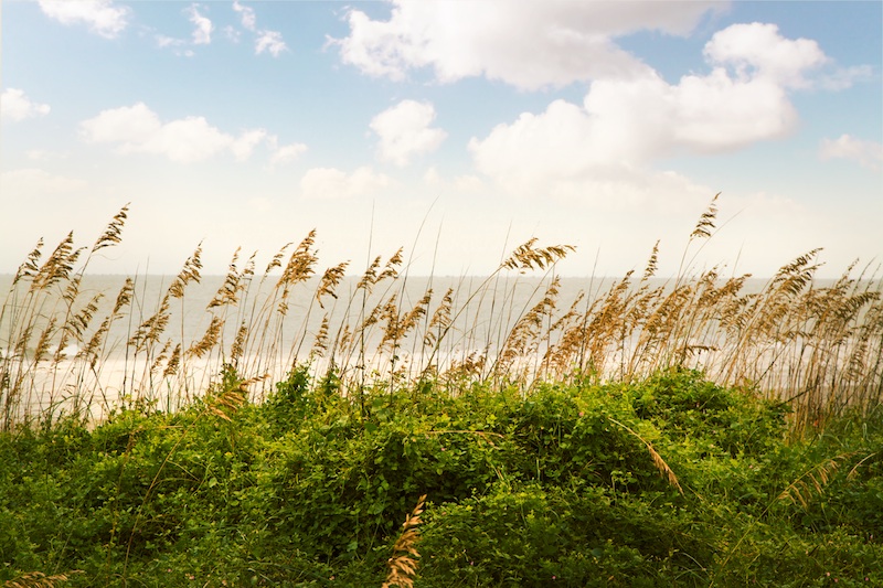 Mt. Pleasant, South Carolina |  private and beautiful community