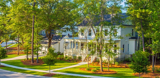 Riverside_White_House_Oak_Tree_550x270.jpg