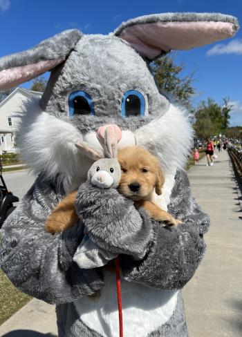 puppy_bunny.jpeg